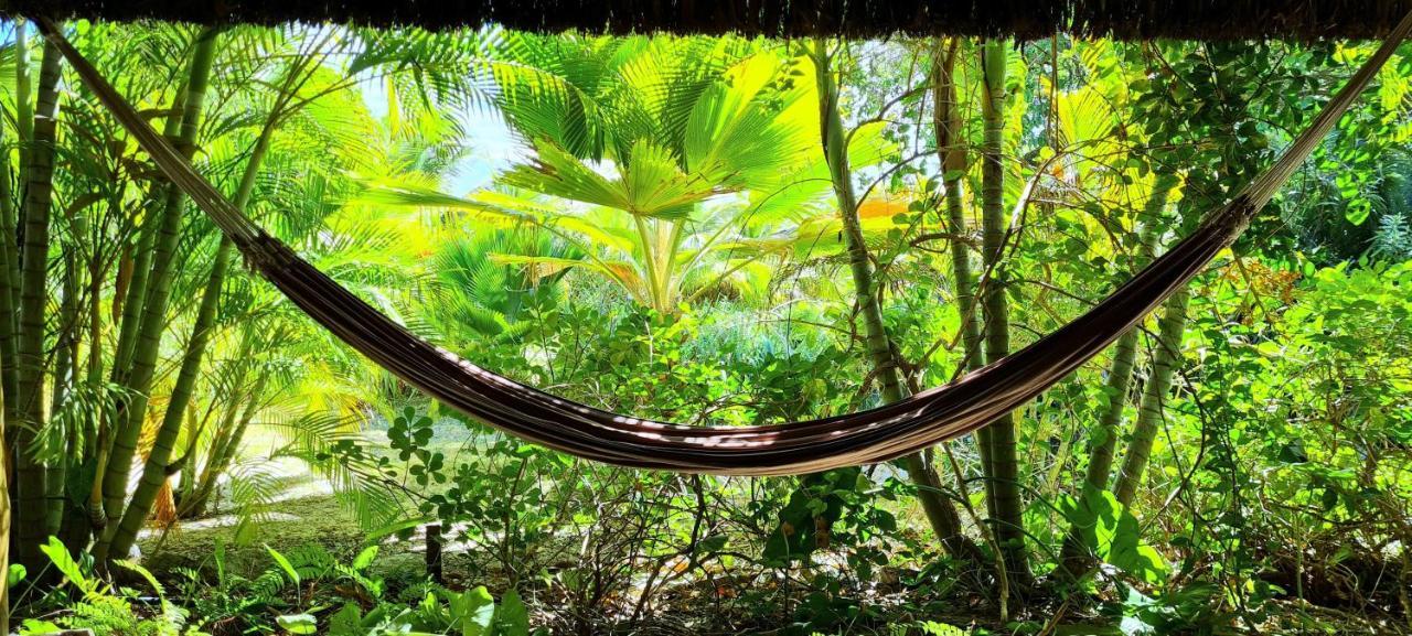 Castelo Vendom Ecolodge パラジュル エクステリア 写真