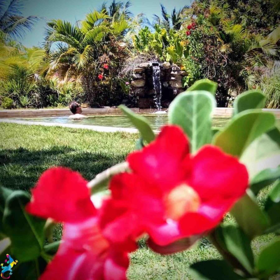Castelo Vendom Ecolodge パラジュル エクステリア 写真